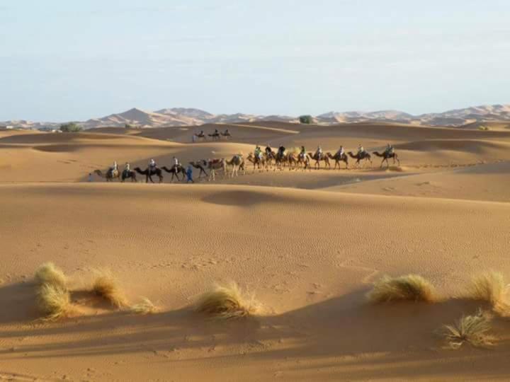 Bivouac Dune Iriki Luxury tent