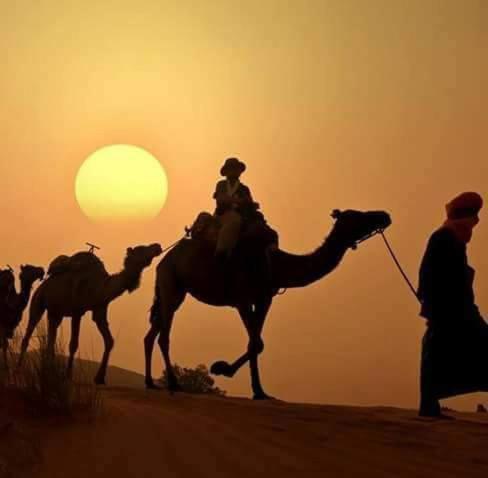 Luxury tent Bivouac Dune Iriki